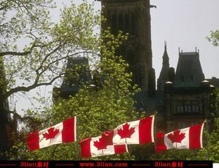 加拿大旅游签证可以加急办理吗?