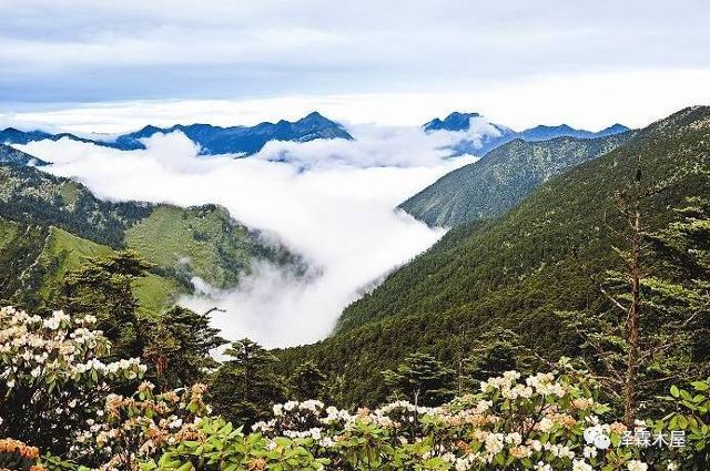 大美姜城 芦山县 旅游频道 手机搜狐