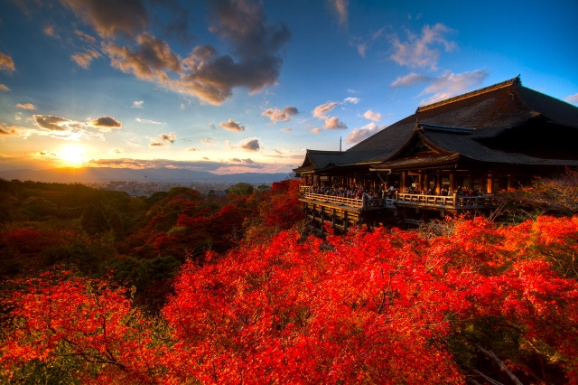 关西红叶前线 日本最美的秋季来了 旅游频道 手机搜狐