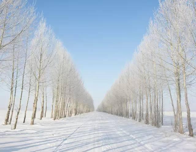 冬日雪景 内蒙古呼伦贝尔大草原的雪 旅游频道 手机搜狐