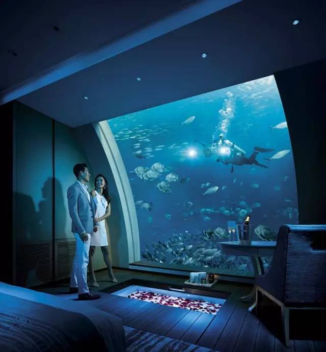 新加坡 圣淘沙名声世界 入住海底 吃米其林大餐 旅游频道 手机搜狐