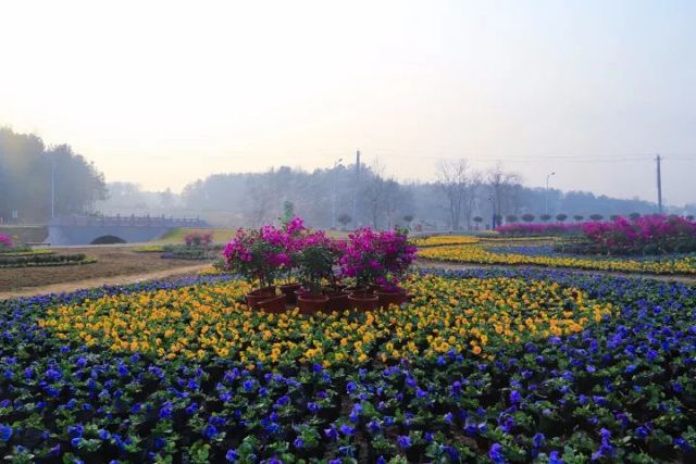 和冬天相配的不只是被窝 还有12月7日的花乡周岁宴 旅游频道 手机搜狐