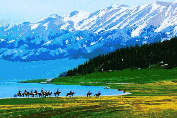 为什么新疆人不爱出国旅游