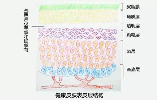 为什么我们的手上会长倒刺呢 健康频道 手机搜狐