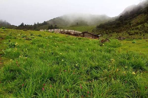 宁蒗青龙海湿地:神秘莫测的"山巅瑶池"
