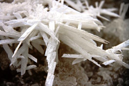 忽如一夜寒风来 中国死海玫瑰开