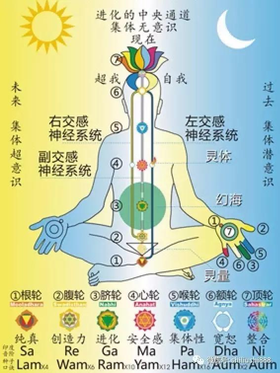 斑彩螺有助于吸财的能量,如其形状,卷抱着,有入无出.