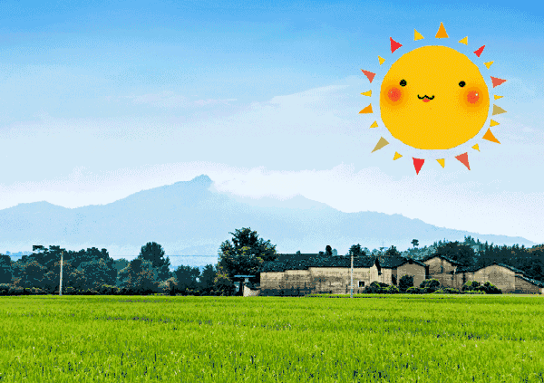 这几天虽然 温度偏低, 但是活跃的 冷空气也带来了 暖暖的阳光和蓝蓝