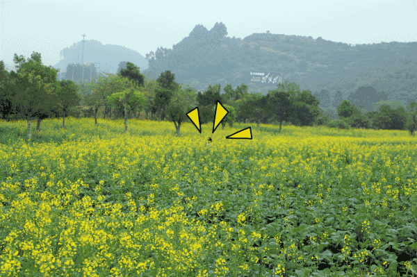 黄江人开车15分钟就到!