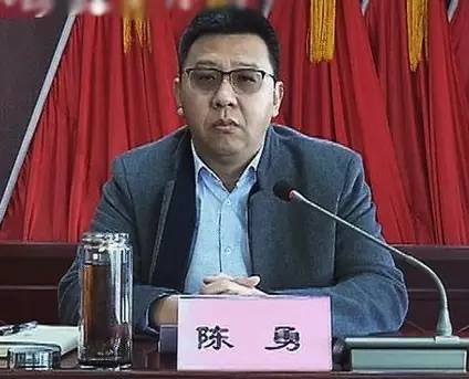 大地保险科技部总经理 大地保险陈勇