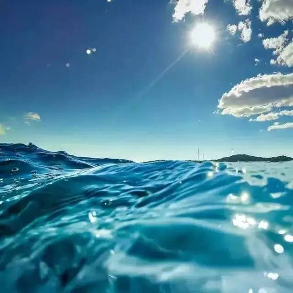 吉林省成人高考的报考流程是怎样的?