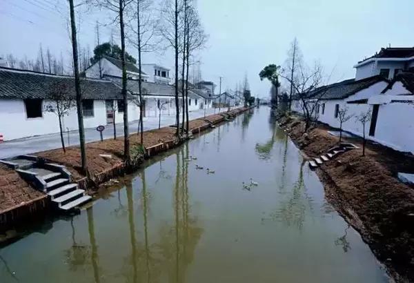 潘垫村位于庄行镇南大门,东接奉贤区柘林镇,西临金山区朱行镇