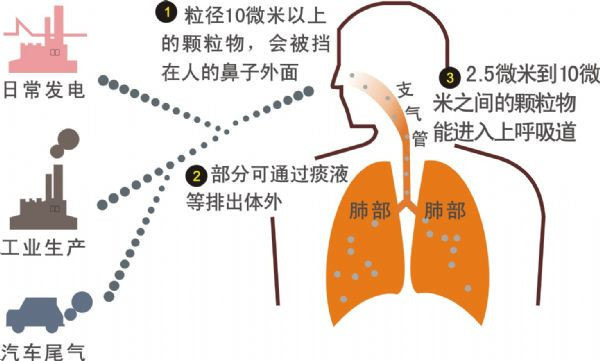 人体呼吸全过程示意图图片