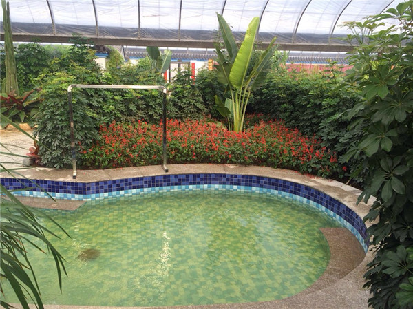 辽中花溪地温泉生态乐园酒店住宿【房间价格】