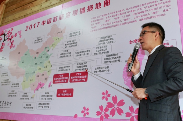 中国樱花花期首次全国播报 台湾樱花加入其中 新闻频道 手机搜狐