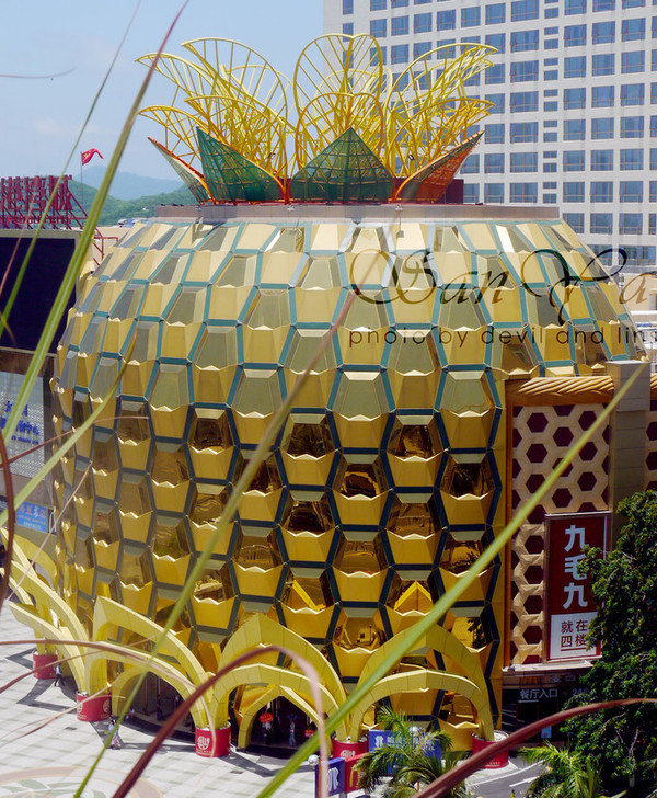 爱三亚就像着了魔