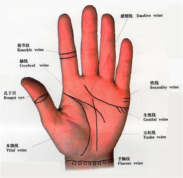 九大财富纹,看看你有没有可能新年发大财!