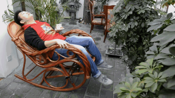 600_338gif 动态图 动图