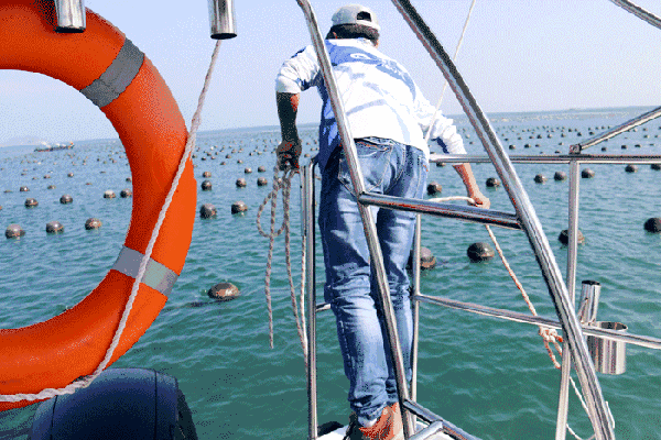 我们的目标是与大海|小白海钓初体验