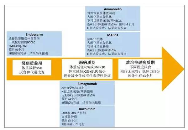 肿瘤恶病质 不只是体重降低 健康频道 手机搜狐