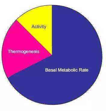 体重难以下降的 真凶 基础代谢损伤 健康频道 手机搜狐