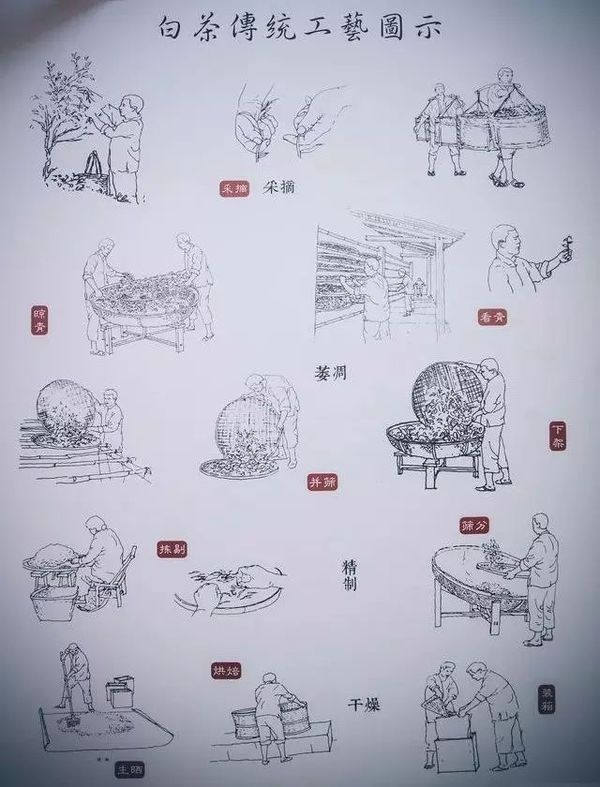 茶百戏,建窑建盏等入选第五批省级非物质文化遗产