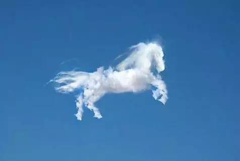 这才是名副其实,真正来自天堂的马!