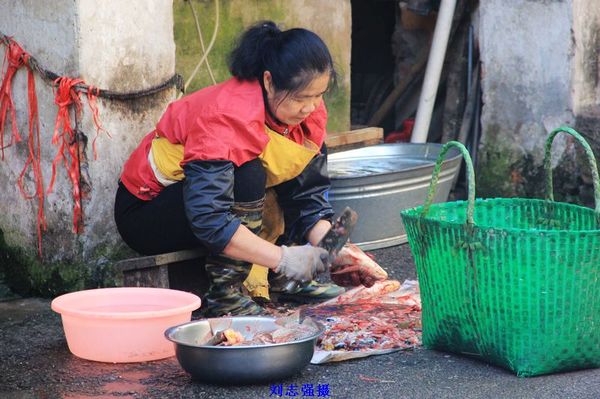 路过一家鱼店,老板娘在很麻利的杀鱼.
