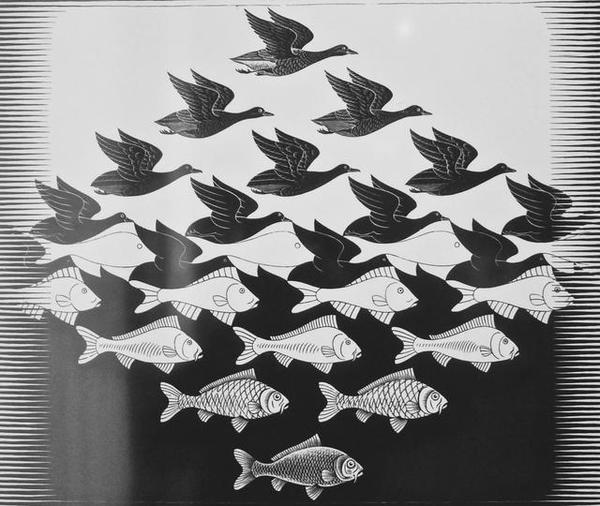 海牙的埃舍尔博物馆收藏许多著名的作品,例如《上上下下(ascending