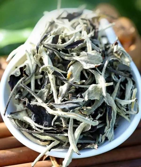 普洱——月光白干茶