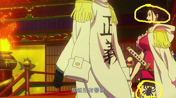 海贼王候补大将茶豚和桃兔同时出现 桃兔美如画 新闻频道 手机搜狐