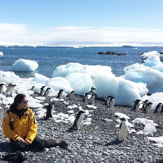 南极 photo: instagram@tania_sg24