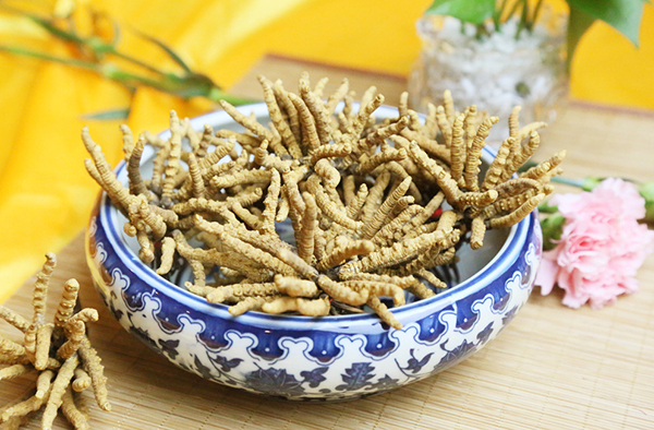 微海汇 冬虫夏草怎么吃 美食频道 手机搜狐