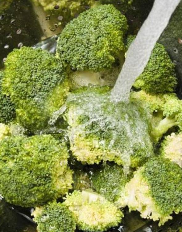 西兰花里有很多虫子吗 用这招就能快速洗干净 美食频道 手机搜狐