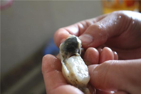 最干净的扇贝洗法,轻松做出节日宴会菜