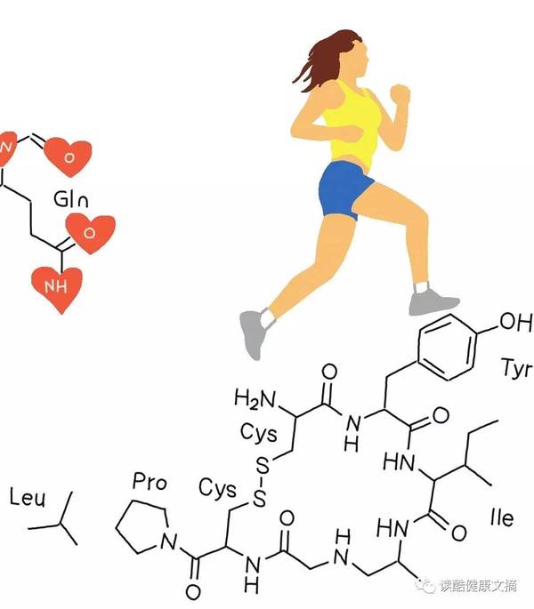 运动会刺激荷尔蒙分泌吗?