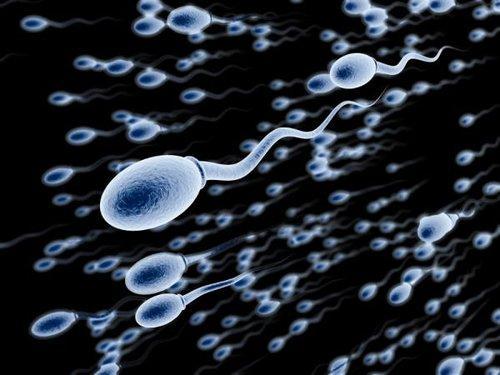 精子活动力低下会影响怀孕吗 母婴频道 手机搜狐