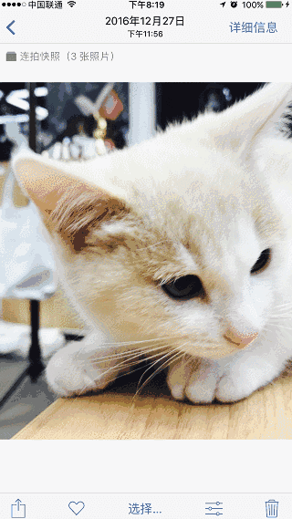 320_569竖版 竖屏gif 动态图 动图
