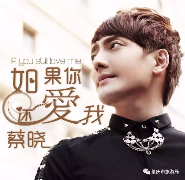 肇庆行花街时间地点定了!还有这么好听的本土过年歌曲