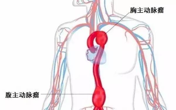 摸到肚子里有 心跳 去医院 赶紧的 健康频道 手机搜狐