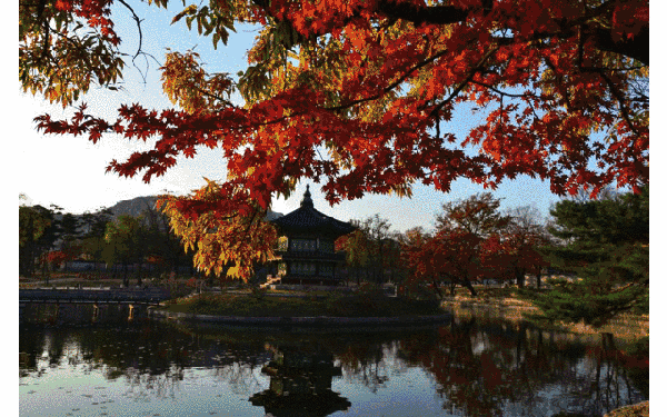 600_375gif 动态图 动图