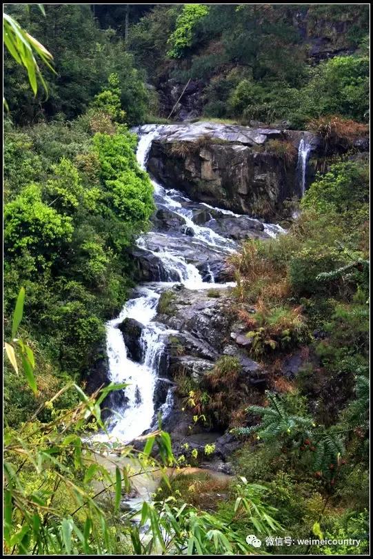 长洋村,山青水秀,幽静清凉!