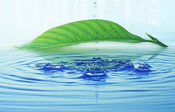 量子水-优化体质，延长寿命所必须的健康水！-新闻频道-手机搜狐