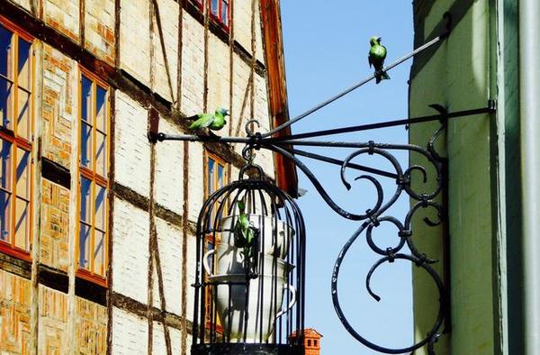 一家铁艺店的招牌,几只飞出了笼子的小绿鸟,配上后面的蓝色天空,一种