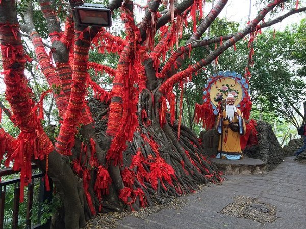 带着宝宝经历很多他的第一次,三亚将是未知的旅程