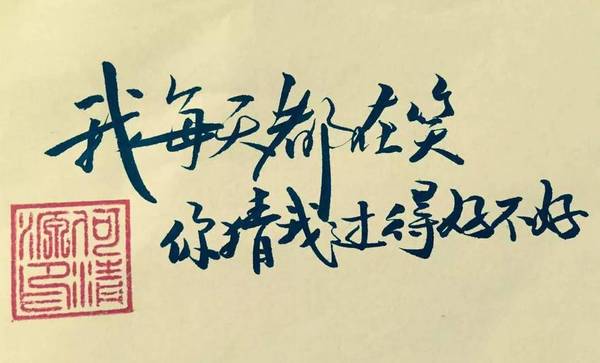 我每天都在笑,你猜我过的好不好