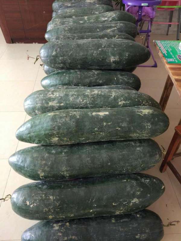 冬瓜 鸡,好吃到飞起!