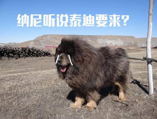 能否借宿一宿 容我明早再走 每日头条