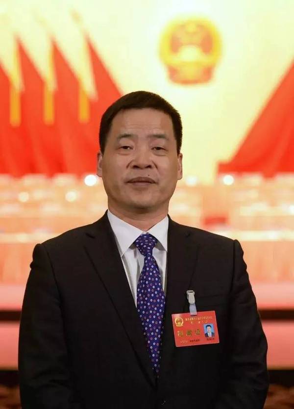 桐乡市人民政府市长 王申峰