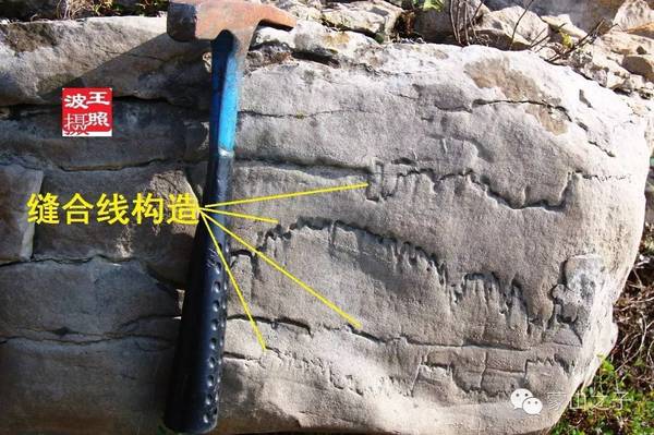 我的《山楂树之恋》——蒙山自然文化探索